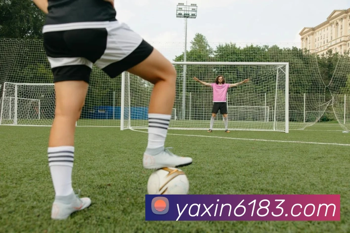 App Interface Preview