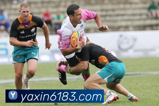 数据防护可视化